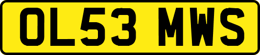 OL53MWS