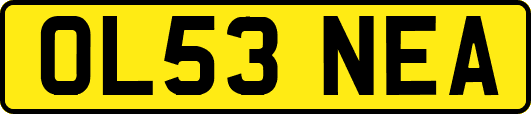 OL53NEA