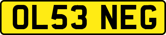 OL53NEG