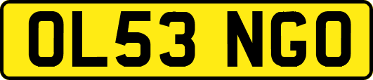 OL53NGO