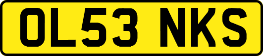 OL53NKS