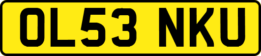 OL53NKU