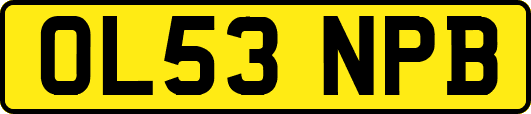 OL53NPB