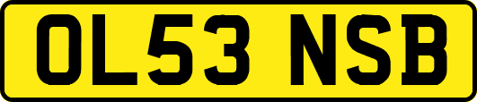 OL53NSB