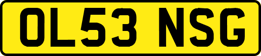OL53NSG