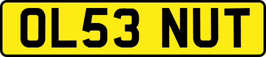 OL53NUT