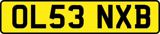 OL53NXB