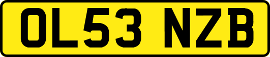 OL53NZB