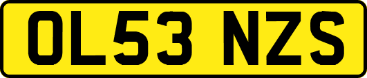 OL53NZS