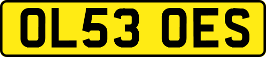 OL53OES