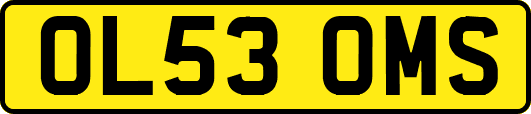 OL53OMS