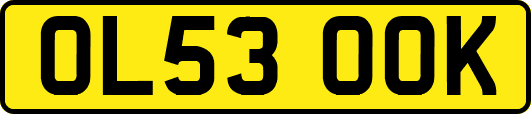 OL53OOK