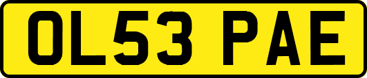 OL53PAE