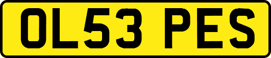 OL53PES