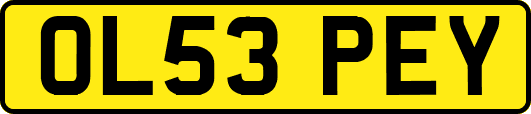 OL53PEY