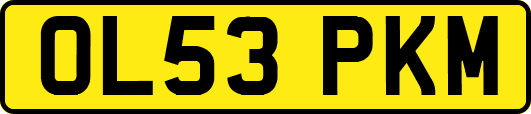 OL53PKM
