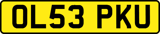 OL53PKU