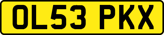 OL53PKX