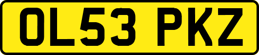OL53PKZ