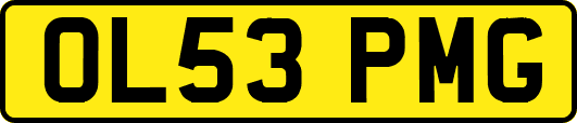 OL53PMG