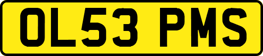 OL53PMS