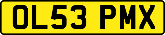 OL53PMX