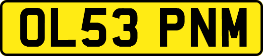 OL53PNM