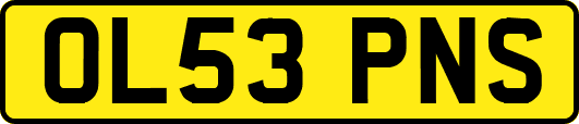 OL53PNS