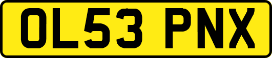 OL53PNX