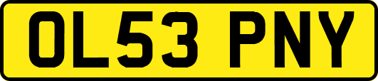 OL53PNY