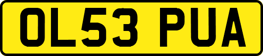 OL53PUA