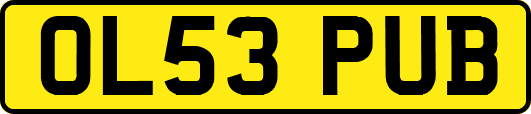 OL53PUB