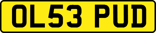 OL53PUD