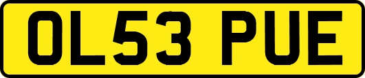 OL53PUE