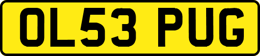 OL53PUG