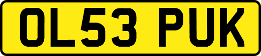 OL53PUK