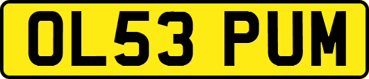 OL53PUM