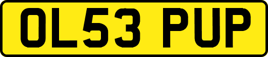 OL53PUP