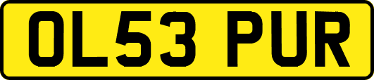 OL53PUR