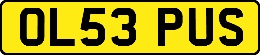 OL53PUS