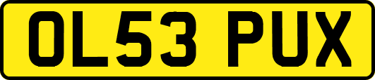 OL53PUX