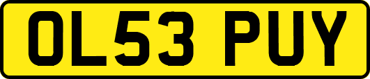OL53PUY
