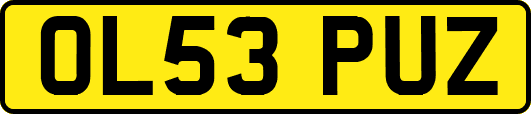 OL53PUZ