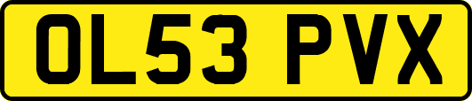 OL53PVX