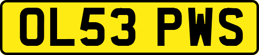 OL53PWS