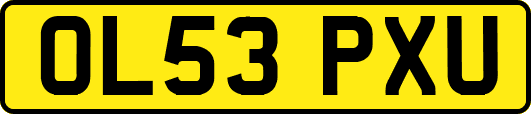 OL53PXU