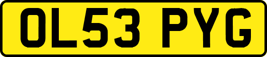 OL53PYG
