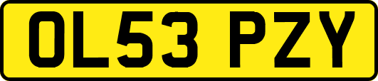 OL53PZY