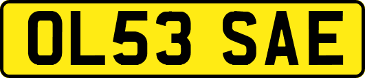 OL53SAE