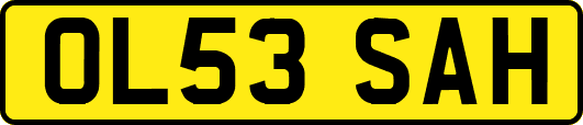 OL53SAH